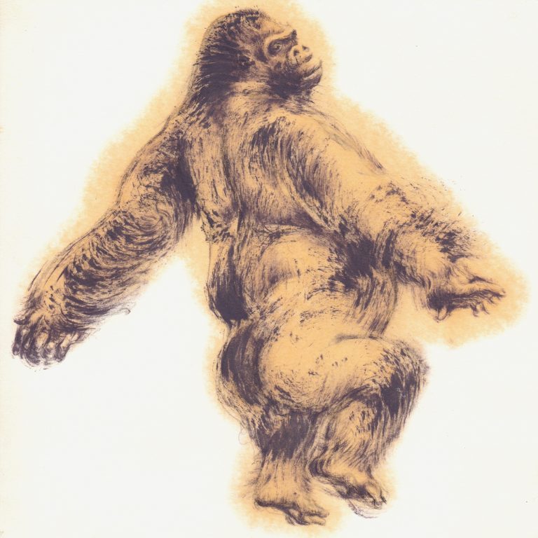 Jörg Mazur – Prima Primaten 7